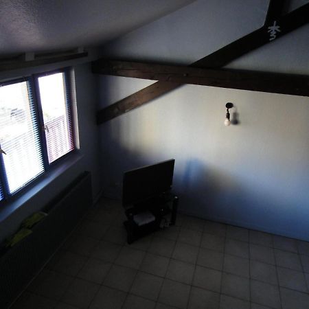 Strasbourg Centre Studio+Mezzanine Au Calme Apartment Bagian luar foto